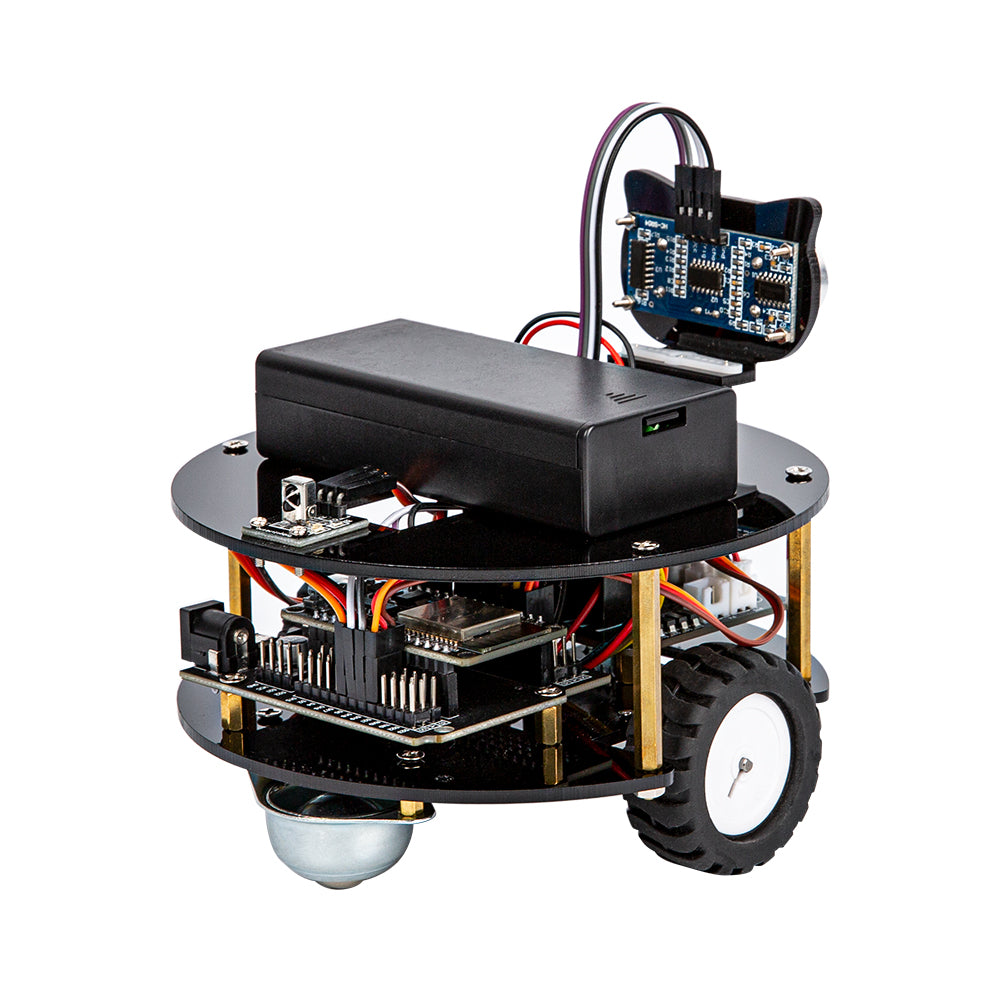 ESP32 Turtle Car [STEAM]